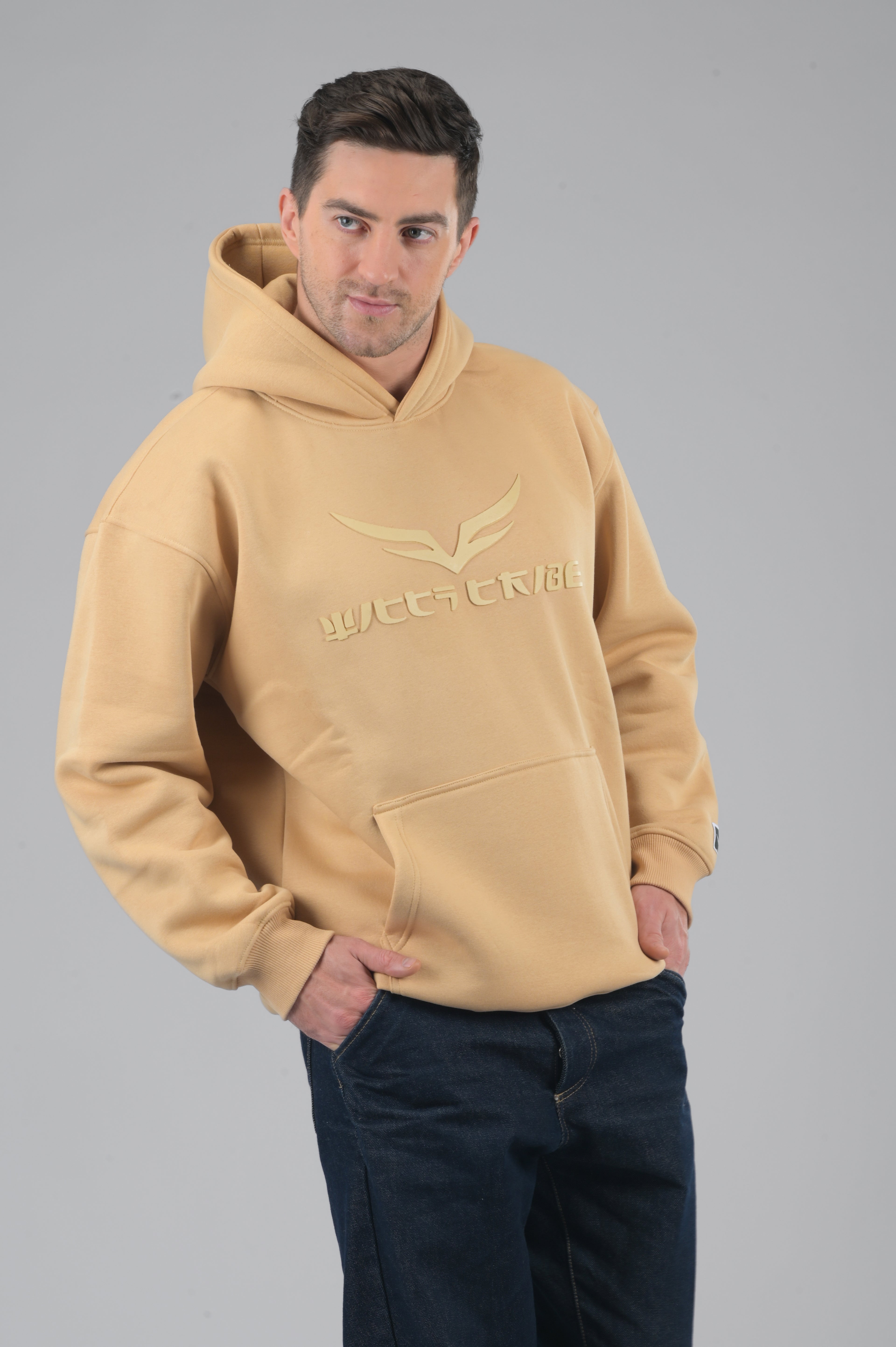Sand Dune Glow (HOODIE)